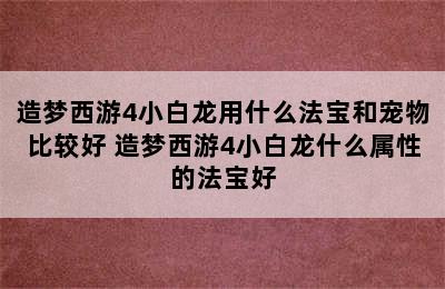 造梦西游4小白龙用什么法宝和宠物比较好 造梦西游4小白龙什么属性的法宝好